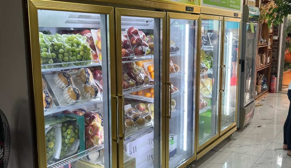 Sửa Chữa Tủ Mát Cần Thơ – Khắc Phục Nhanh, Giá Bình Dân tại Điện Lạnh Vạn Thành