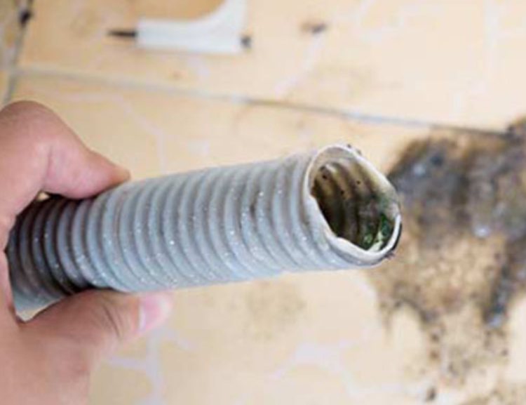 Sửa Máy Giặt Cần Thơ: Nhanh Chóng, Tận Tâm, Giá Bình Dân